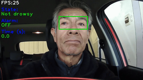 Real-world drowsiness detection validation demo